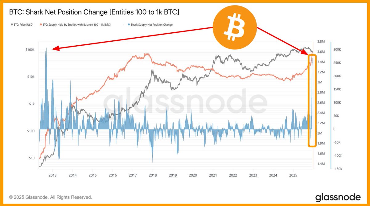 BITCOIN'S BIGGEST MONTHLY ACCUMULATION IN 13 YEARS

Whales purchased 269,822 BTC, worth approximately $23.3 billion, in just 30 days.

- Glassnode Data