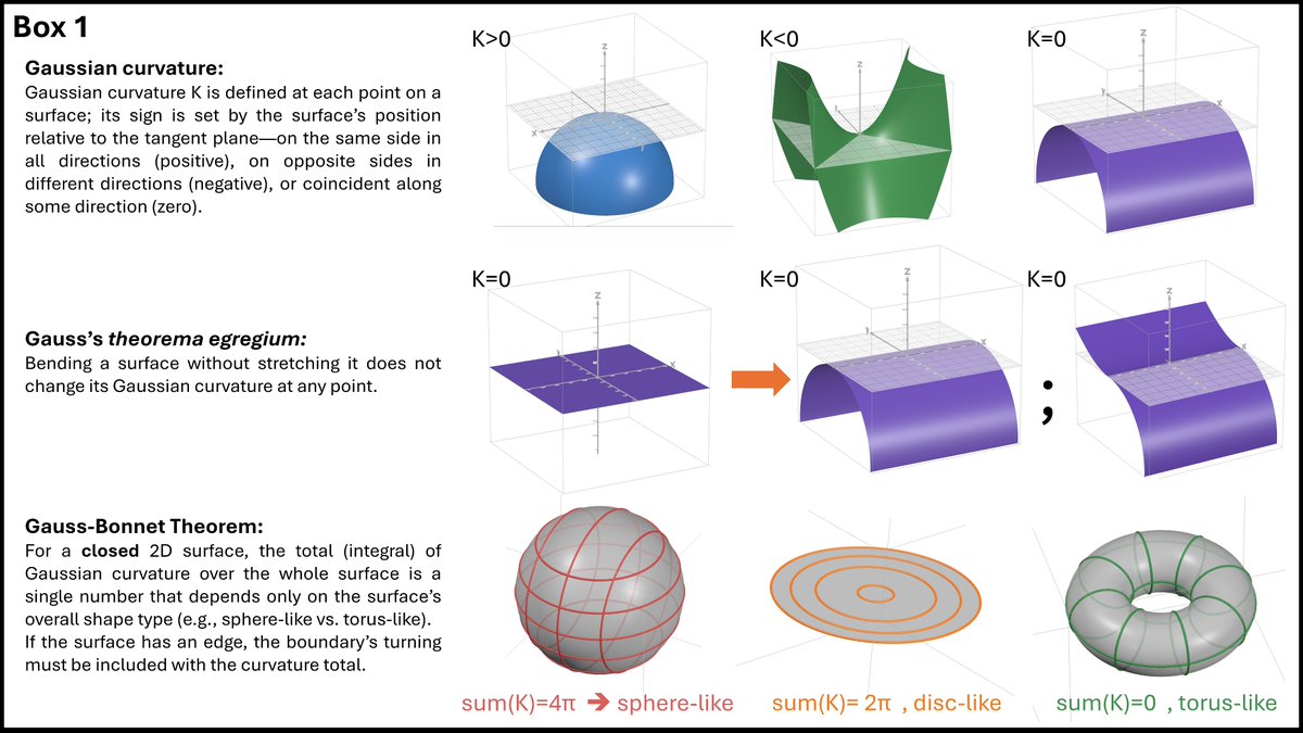 Ofer Feinerman tweet media