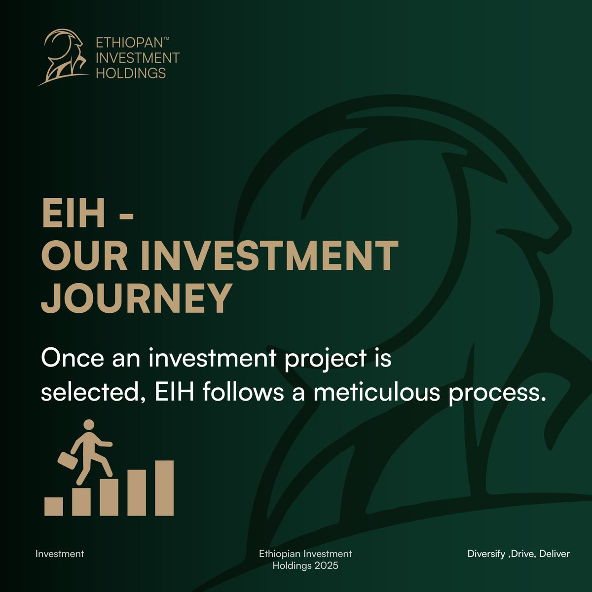 EIHEthiopia's tweet image. From opportunity identification and due diligence to execution and monitoring, @EIHEthiopia follows a structured investment process. It’s a roadmap designed for transparency, efficiency, and measurable results. #EthiopianInvestmentHoldings #InvestmentProcess #StrategicGrowth