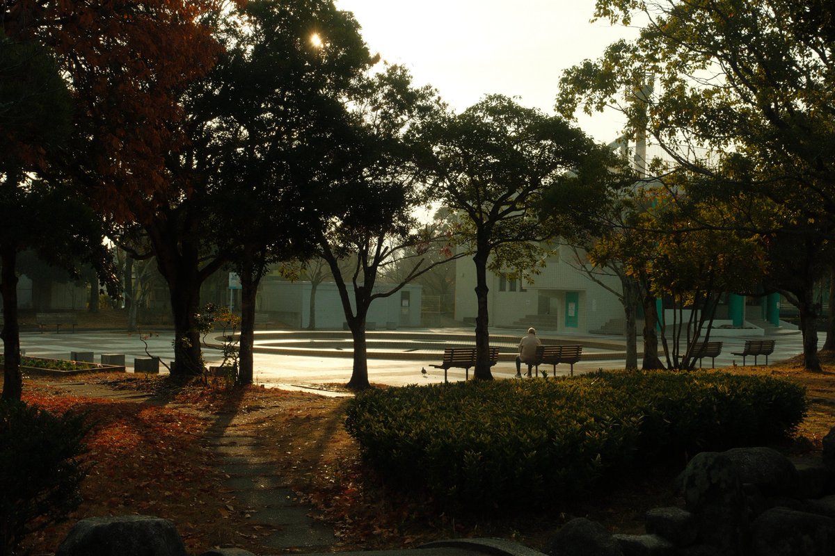 KOU (@greeeenpengin) / Posts / X