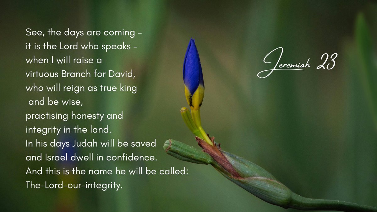 18th December
Jeremiah 23:5-8
Matthew 1:18-24
The theme of kingship looms large in the story of our salvation. The transition from the people of Israel living as 12 tribes to their anointing of a king involved twists and turns.