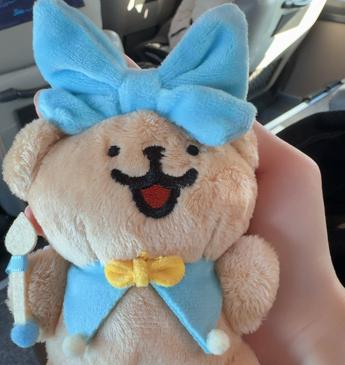 そらまめ (@mame_sky13) / Posts / X