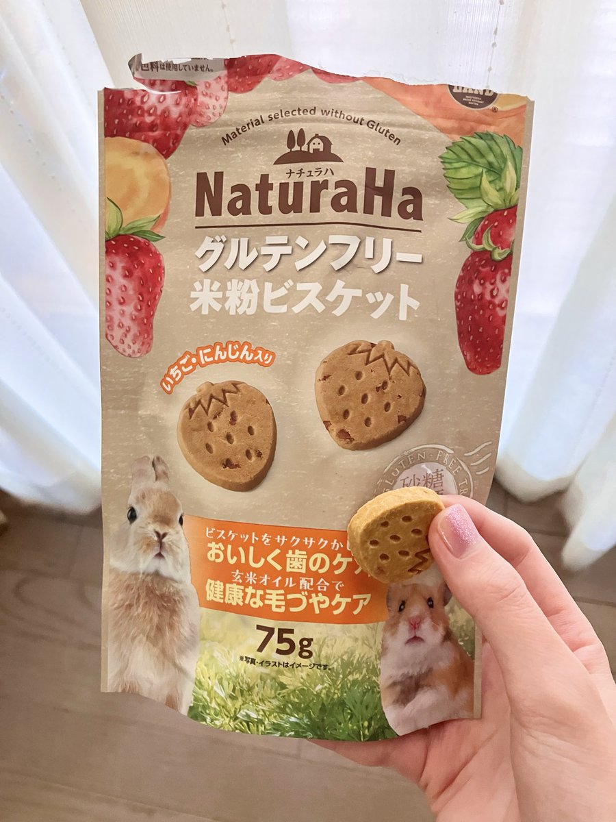 ハムスターのおやつ実食
〜米粉ビスケット〜
甘いの苦手な人が作ったクッキーの味