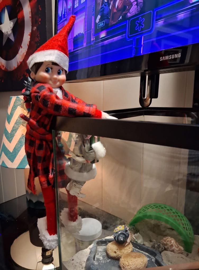 sarahmc3qi's tweet image. Guess who showed up in Kodys room this morn!