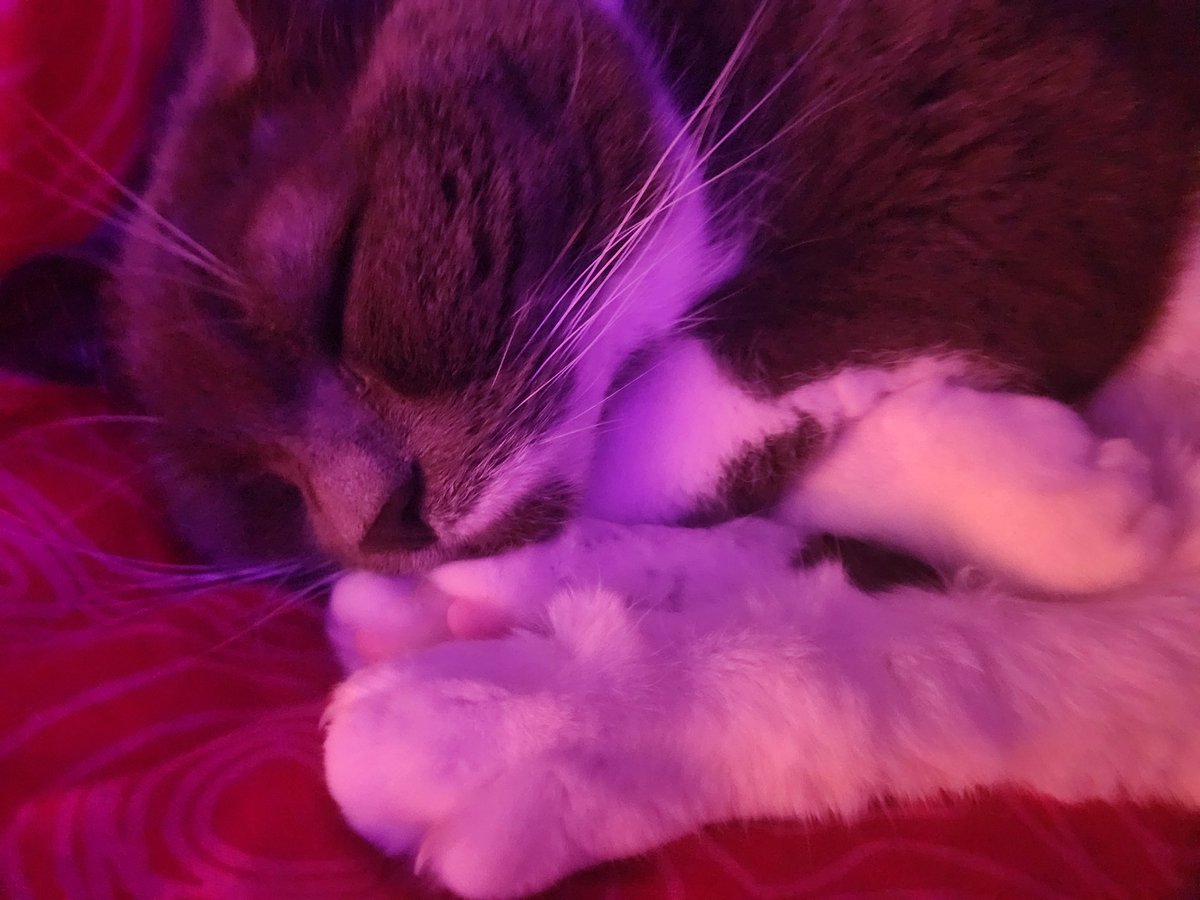 Ça roupille fort pendant que tout le monde travaille