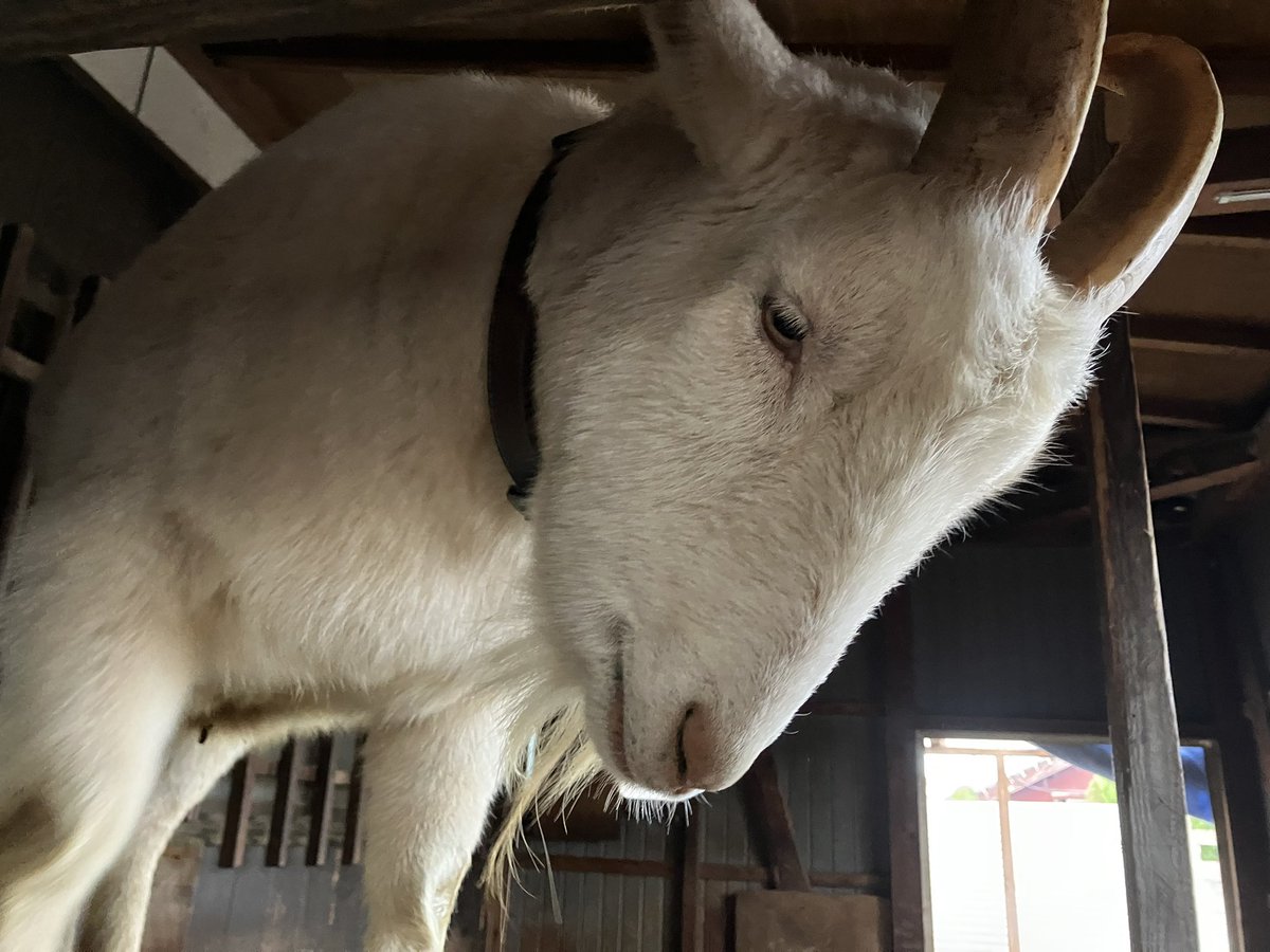 杏子 (@kyoxxx215) / Posts / X