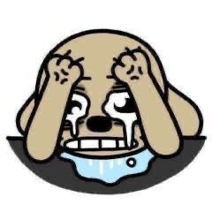 tmoJS2's tweet image. 정수아프지말자