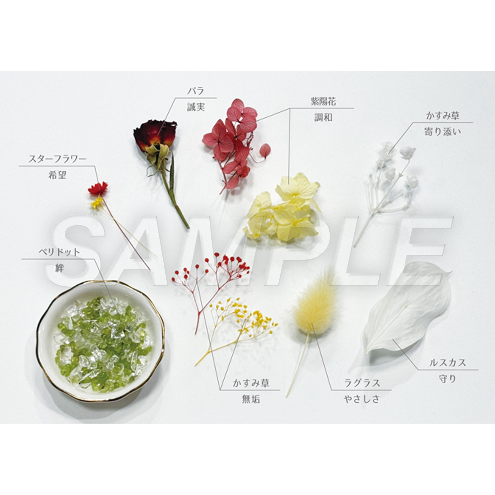 百合姫展【公式】 tweet media