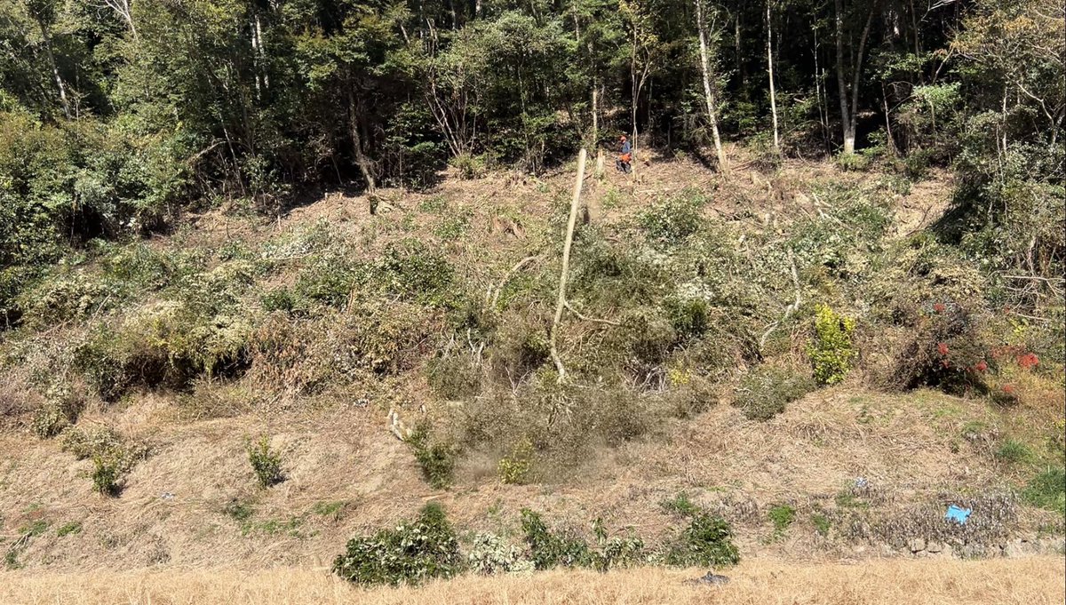 田舎の者mo-chan (@moss0782ga) / Posts / X