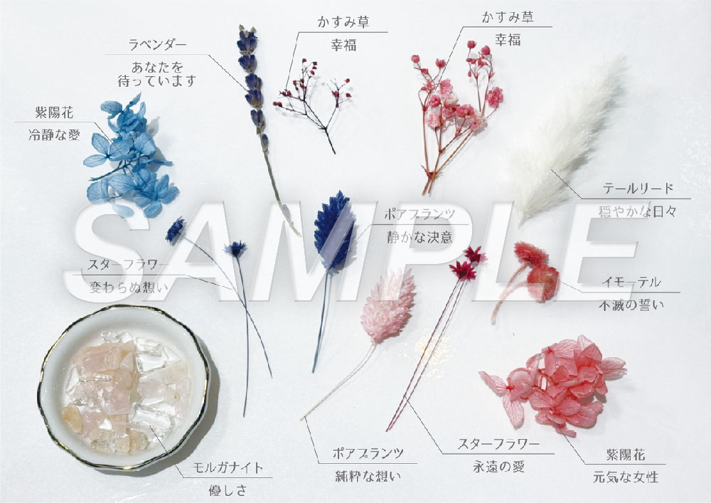 百合姫展【公式】 tweet media