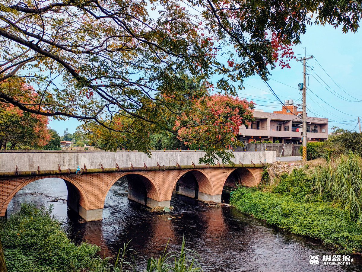 機器狼的河畔漫遊！
沿著河岸看見紅通通的樹葉跟磚紅拱橋，古色古香的風景配上涼涼微風，機器狼散步散得好開心汪 (´▽`ʃ♡ƪ)

機械狼の川沿い散策！
川沿いで赤い葉っぱとレンガの橋を見ました。とても綺麗な景色で、散歩するのがとても楽しいです (´▽`ʃ♡ƪ)