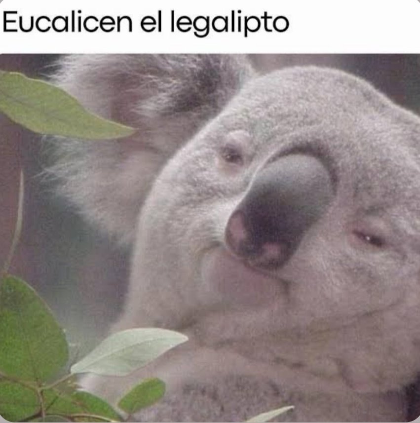 Ana_LaPatata tweet media