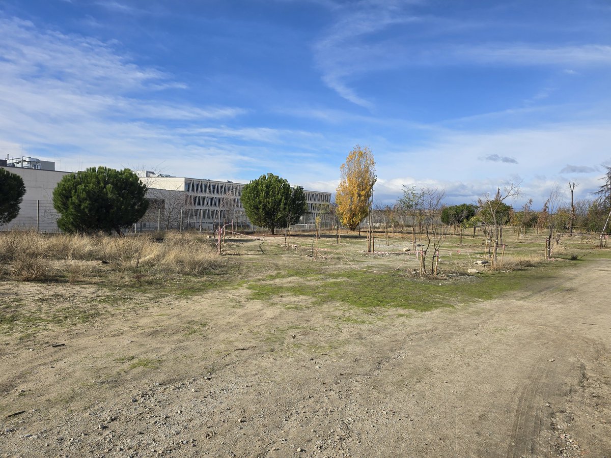 nomegacanton's tweet image. 📢 El #megacantón de #montecarmelo no cumpliría la ley. Analizando su memoria ambiental, se superarían los límites acústicos hasta
🔴 2.500 veces en parcelas colindantes
🔴 22 veces en el DSM
🔴 15 veces en viviendas cercanas
👉 @AlmeidaPP_ y @bcarabante lo saben. ¡Reubicación!