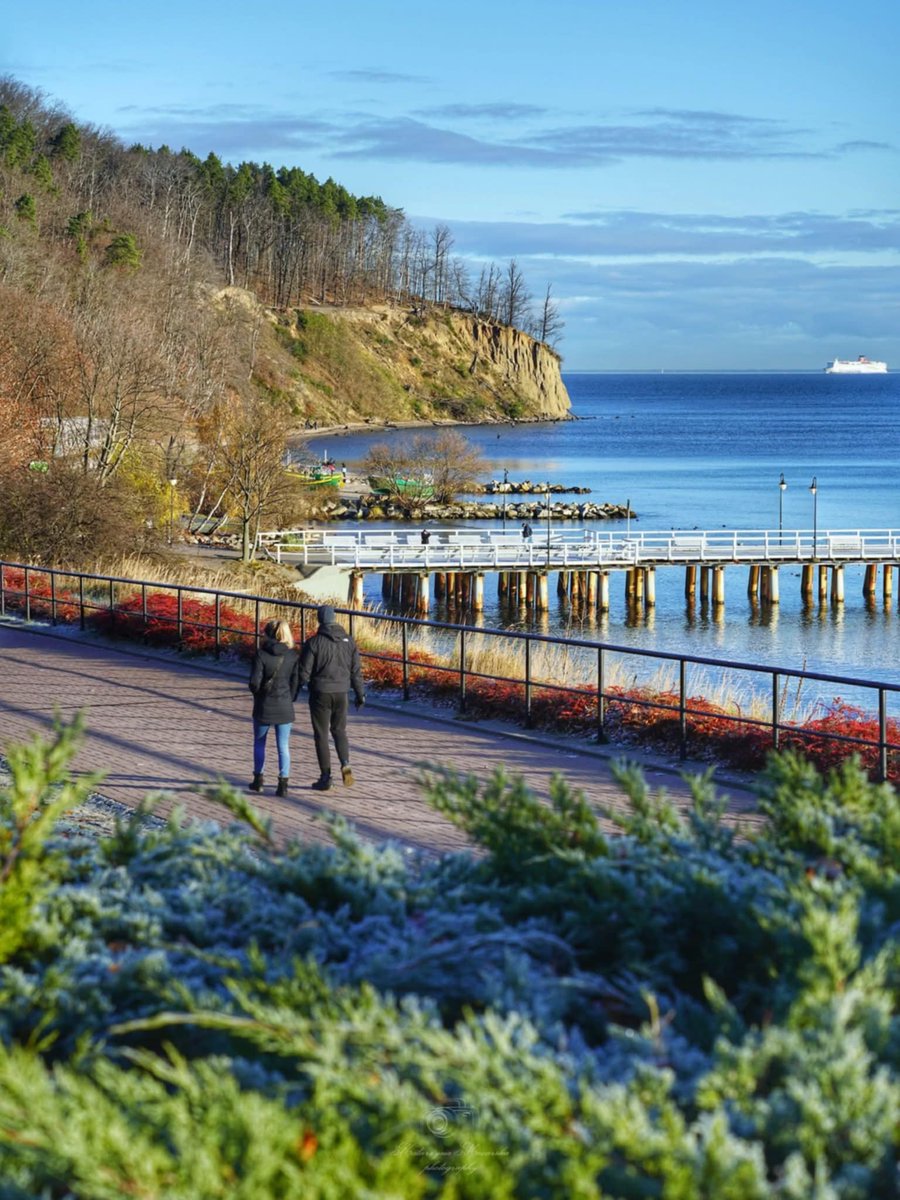 Dzień dobry🙂❄️ Oszronione Orłowo poleca się na spacery.
#wGdyni
____________
Fot. Katarzyna Mocarska /zdjęcie pochodzi z naszej facebookowej grupy Gdynia w obiektywie