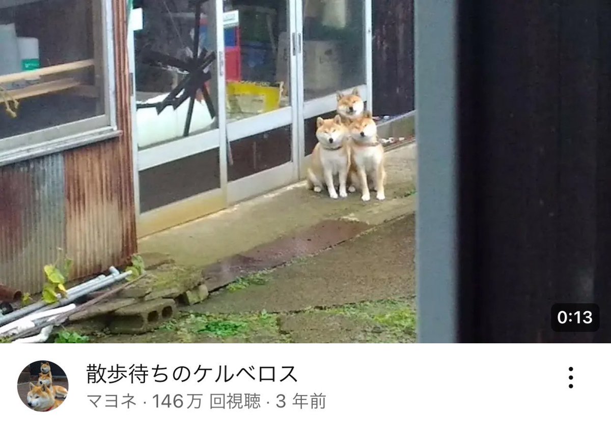 ケルベロス｢散歩まだかな～🐶｣ https://t.co/oE2cJpIB28