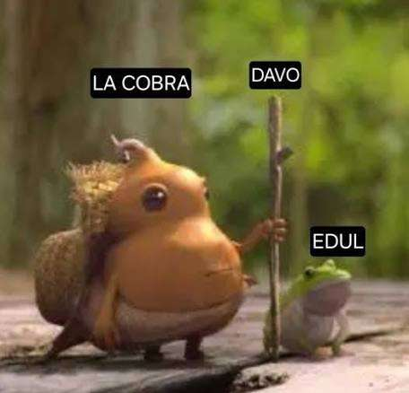 OOC_LACOBRAAA's tweet image. y esto que pelotas es?