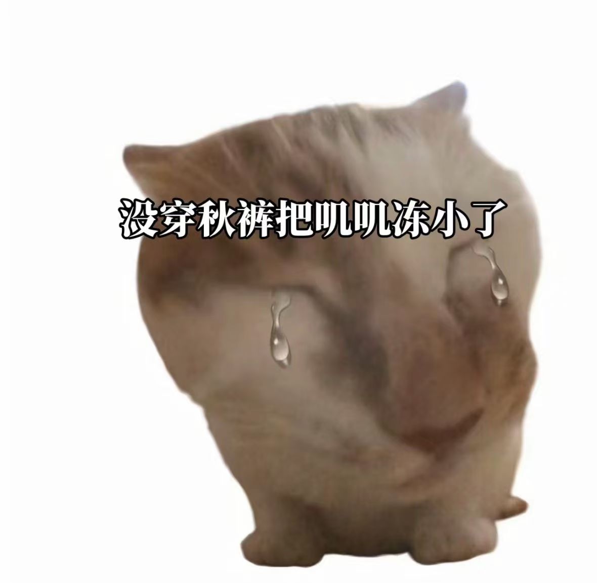 kurice__'s tweet image. 可恶。