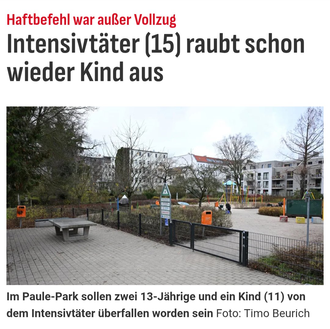 Dara 🇩🇪 tweet media