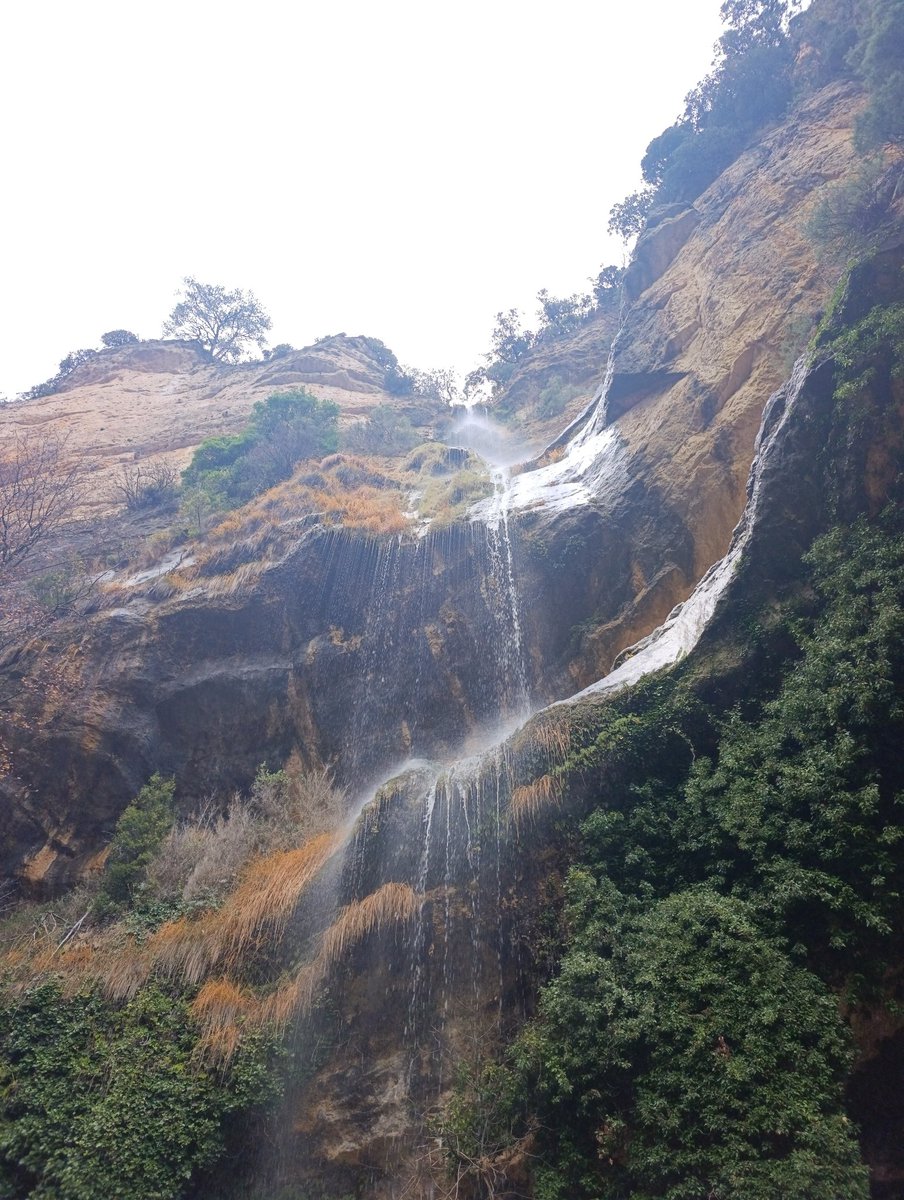 Ja feia dies que no passava per aquí ...