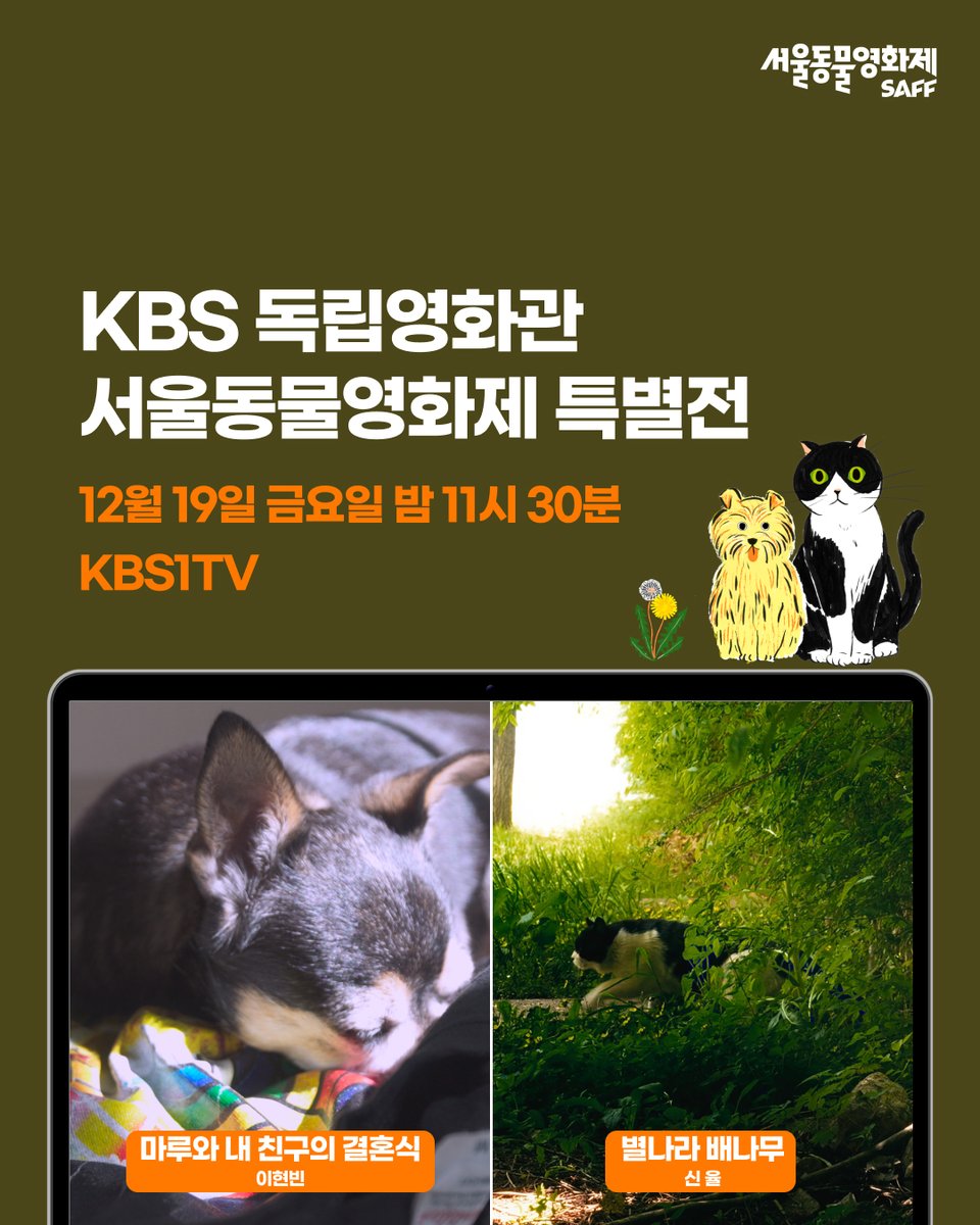 강아지, 고양이 사진 콜라주 무료 템플릿. 저작권 걱정 없는 디자인 | Canva(캔바), image size:960x1200