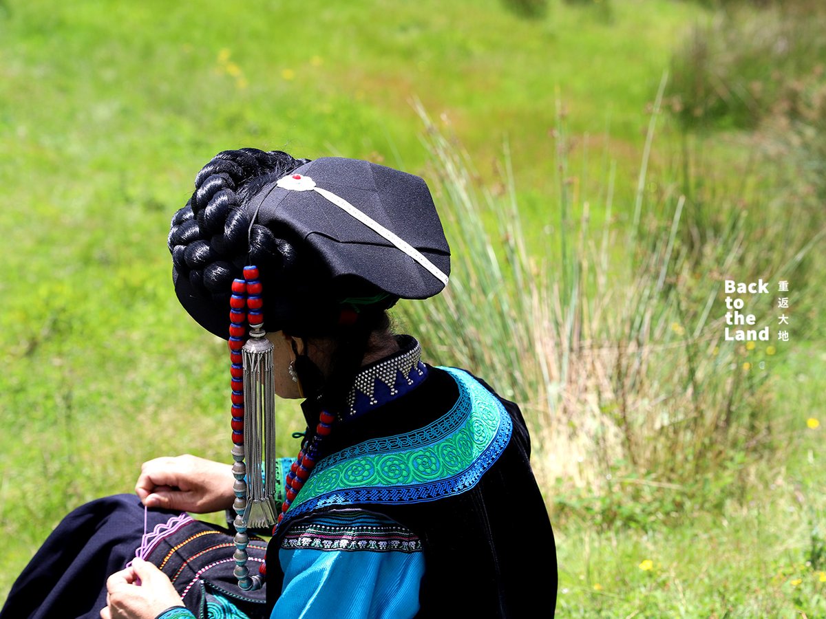 Language Video tweet media