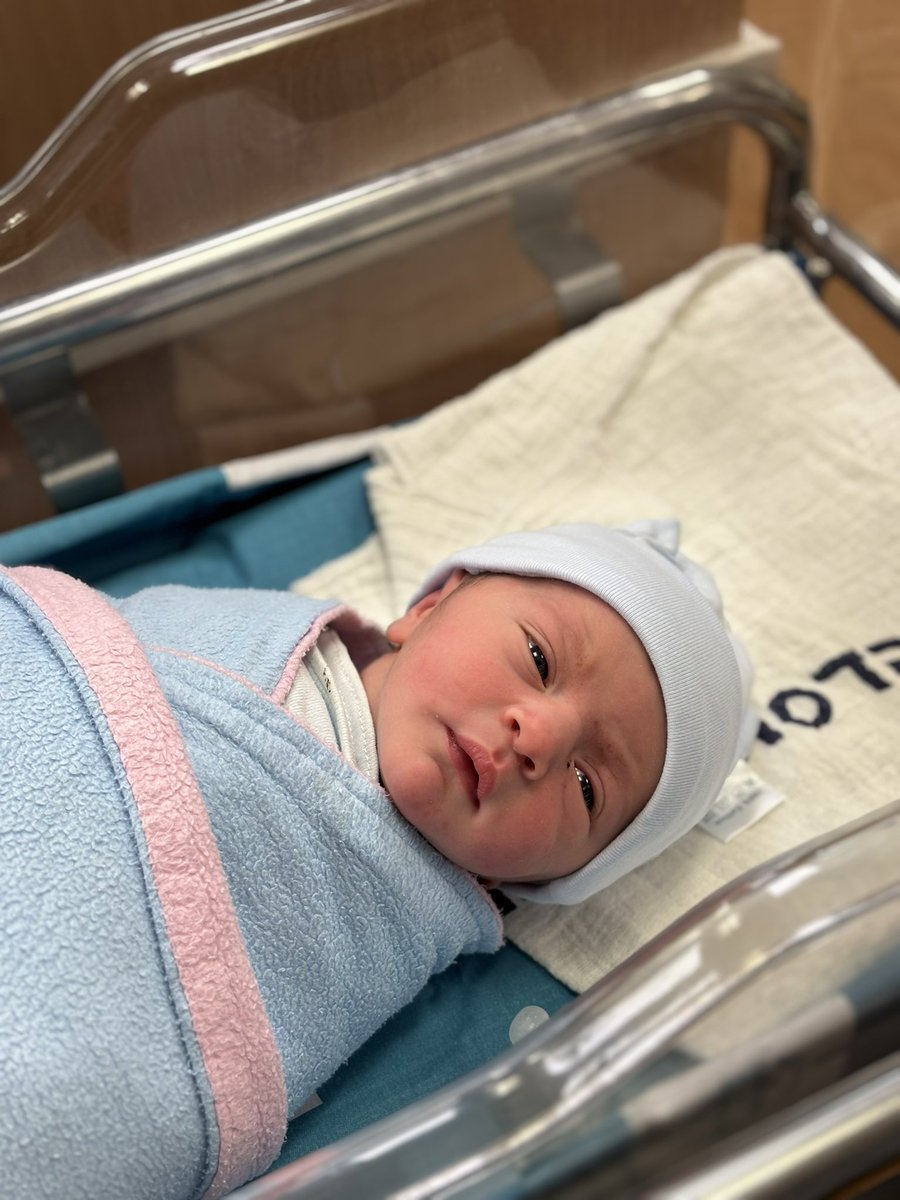 עמיאל ירחי tweet media