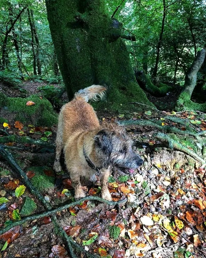 Annamaya098's tweet image. 🥰🥰🥰