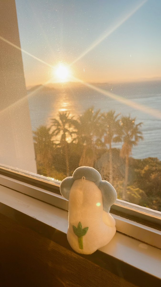 あずきん (@azkn1139) / Posts / X