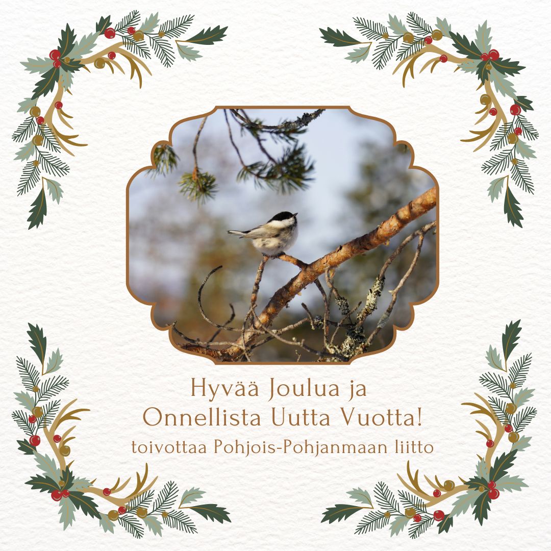 Pohjois-Pohjanmaan liitto (@ppliitto) on Twitter photo 