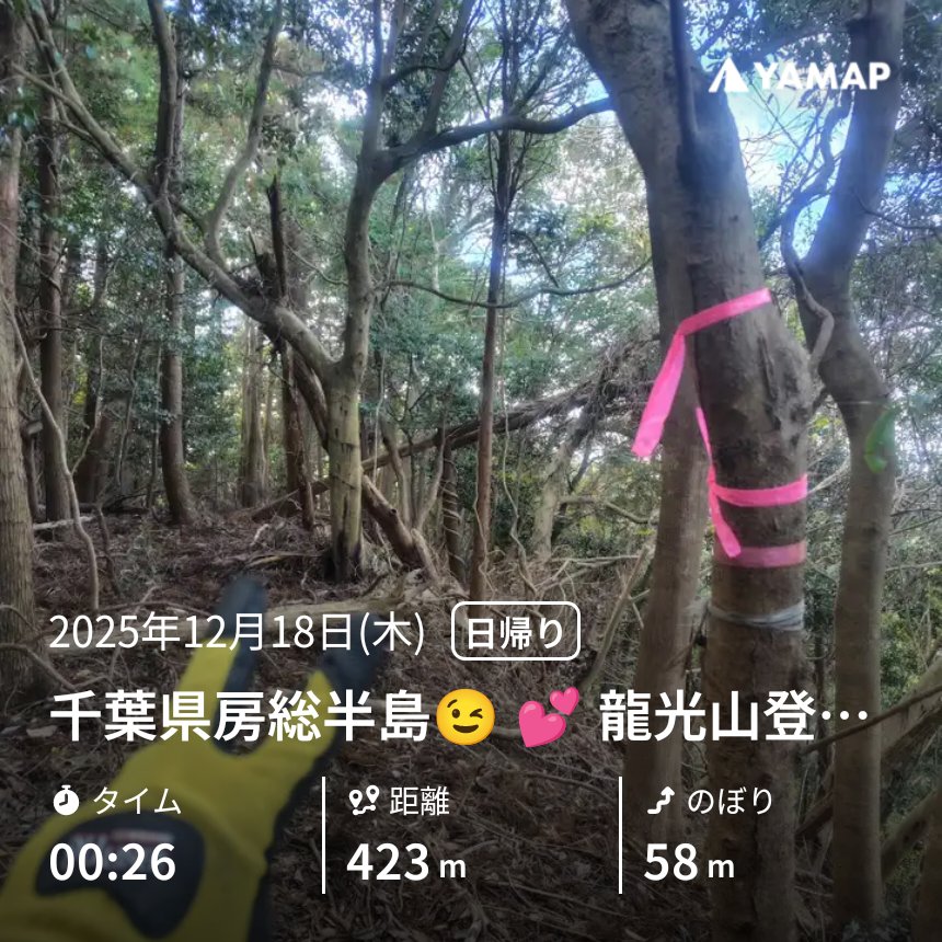 シ*ル様 房総山岳志