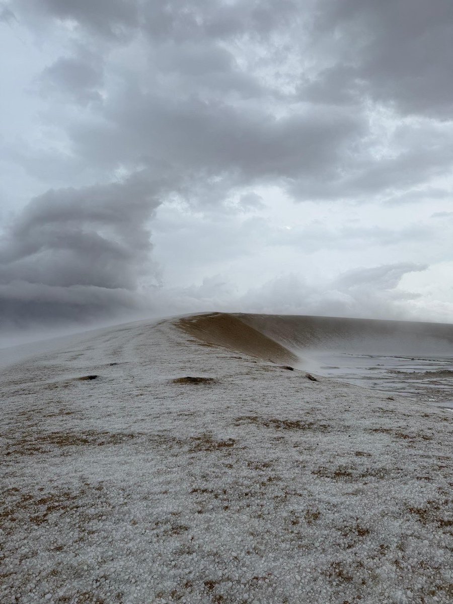 ALThani_M's tweet image. جنوب قطر اليوم، طعس وادي جلال 🤍
ما شاء الله 🫶🏻🤍 🇶🇦