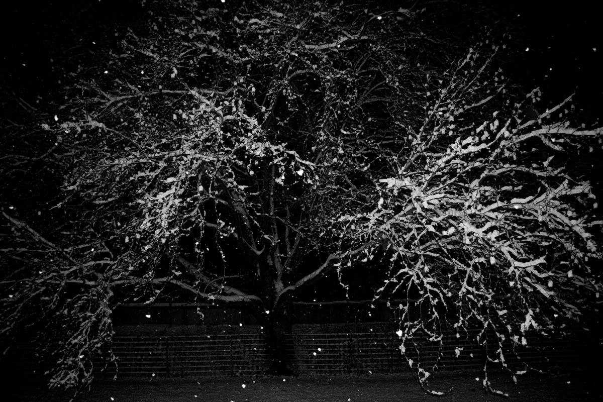 unityofmulti's tweet image. We had snow 15 years ago.