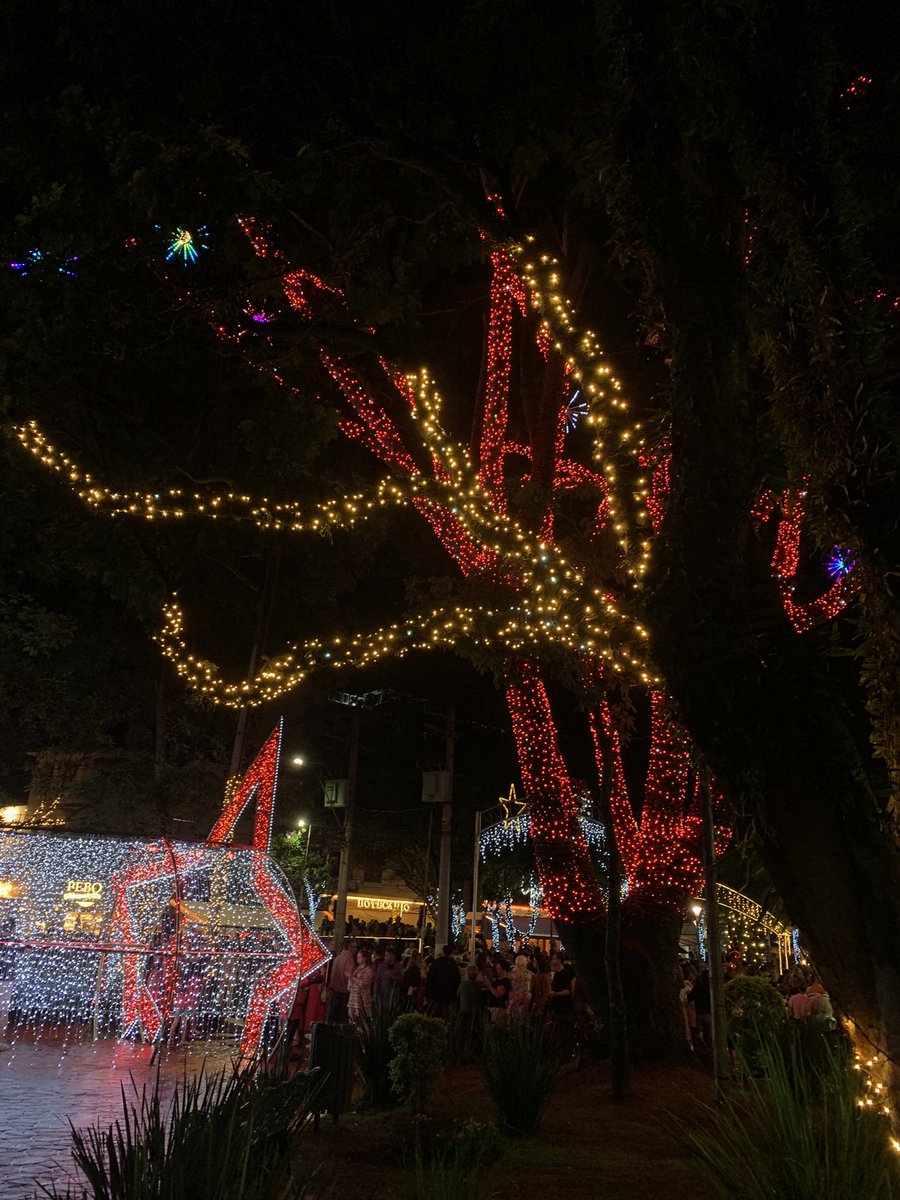 dudacampos_____'s tweet photo. Natal em Serra 🎅🏼❤️ https://t.co/C4U8KHO078