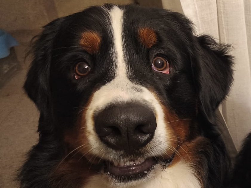 Marcodefotos tweet media