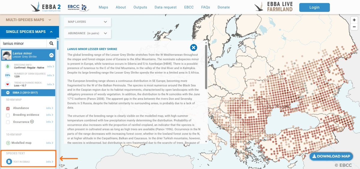 newebba's tweet image. EBBA2 species texts available on-line! 5 years after the publication of the EBBA2 book, online map viewer now shows species texts written by expert ornithologists to help interpret them. An agreement between EBCC and Lynx Nature Books enabled this: ebba2.info/maps/