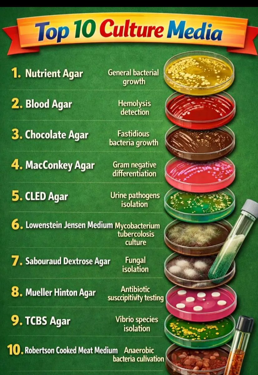 Top 10 culture Media