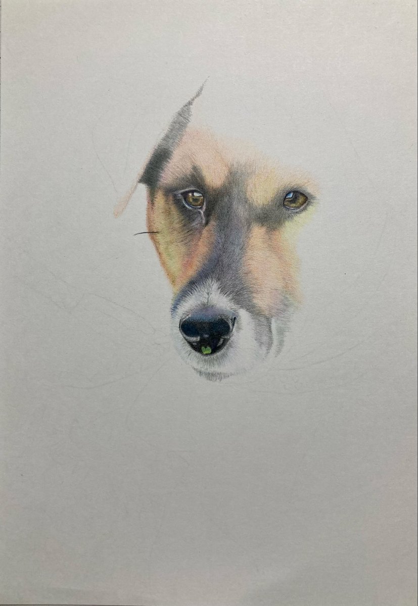 昨日の絵と違いが分かりにくいですね。。 これでも一時間近く描いてい