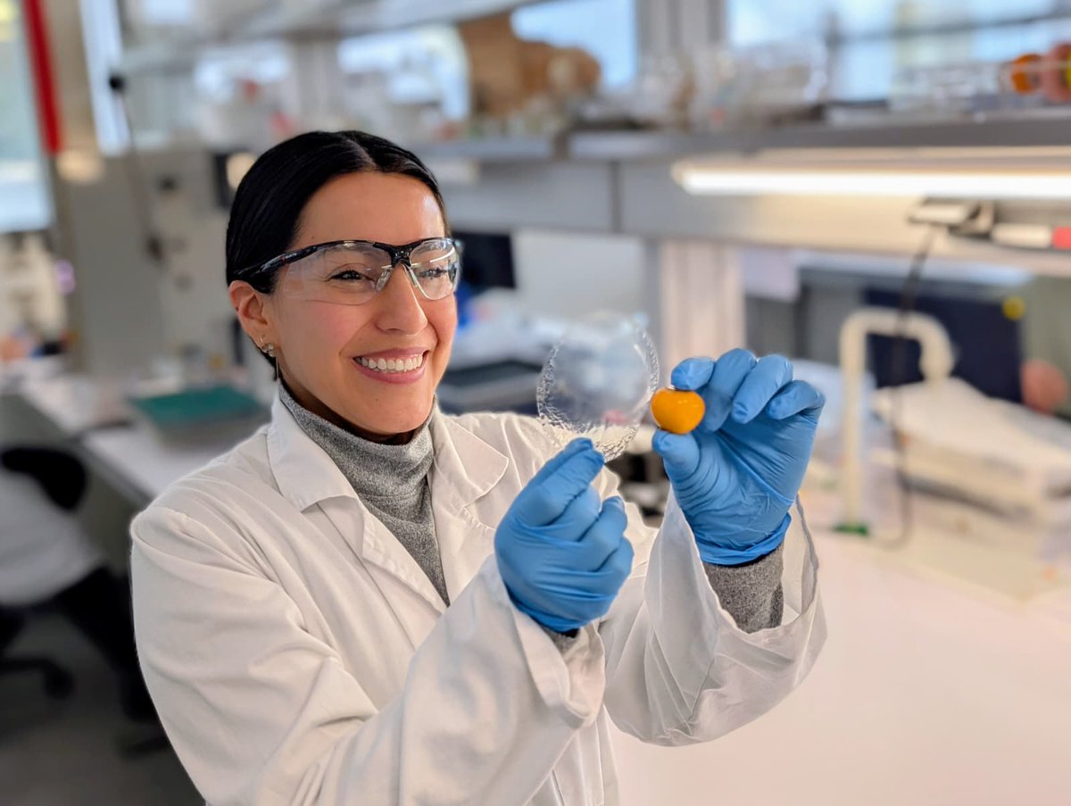 Sustainable Agro-food Materials group tweet media