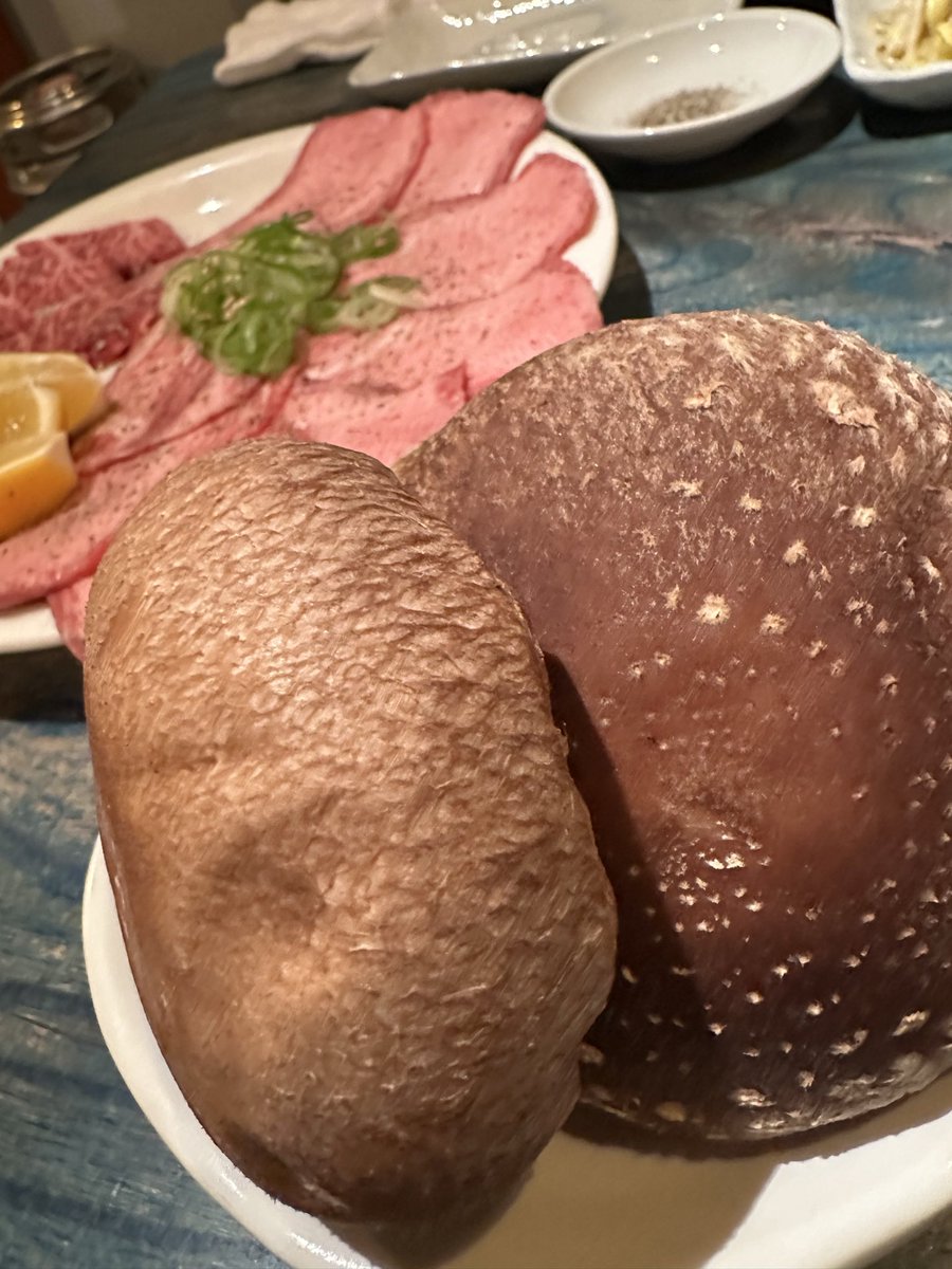 巨大しいたけ🍄