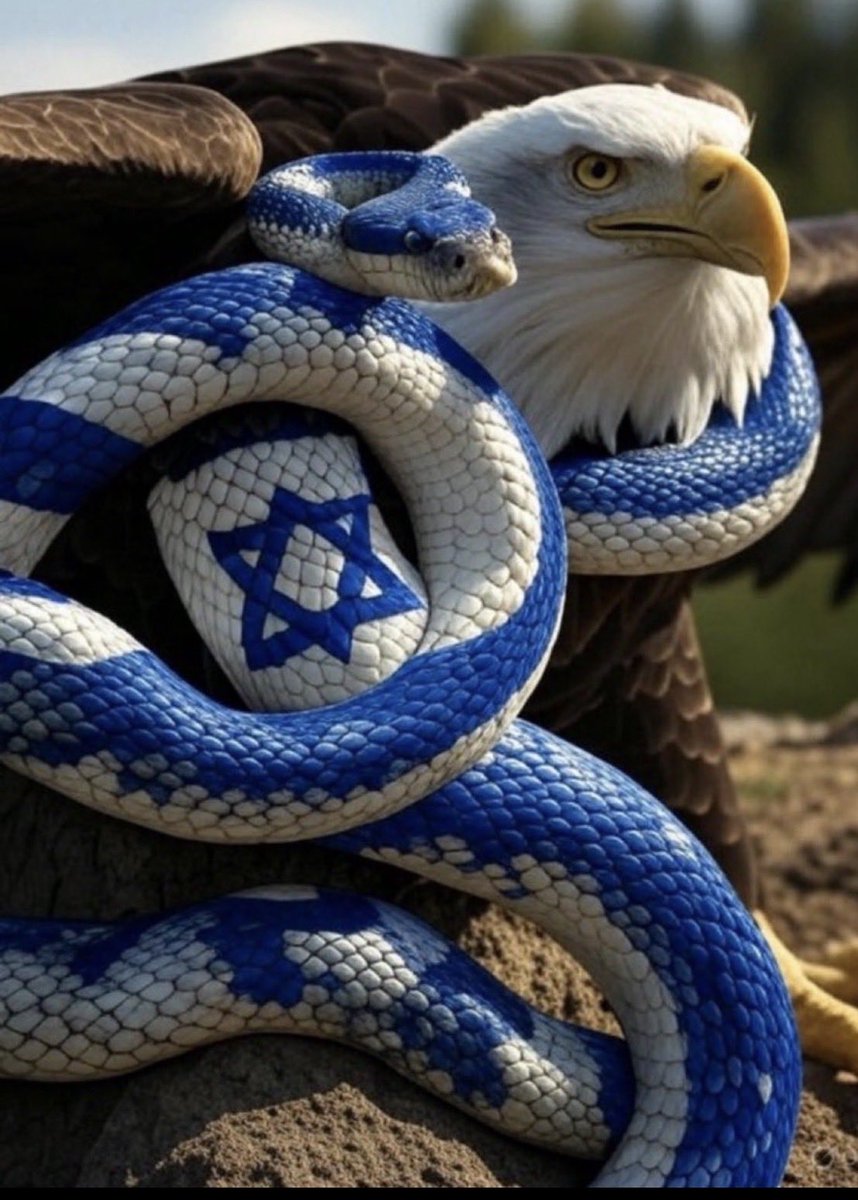 <a href="/BGatesIsaPyscho/">Concerned Citizen</a> Israel Loves Trump. 🤮