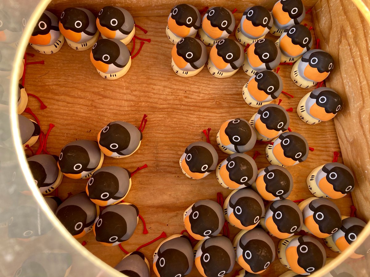 みぃみぃ (@F77eX4) / Posts / X