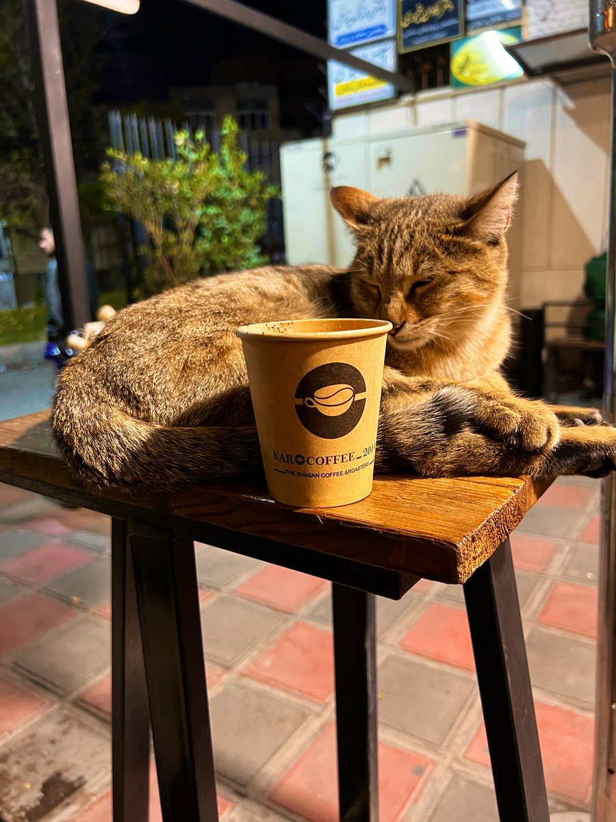 𝐤𝐚𝐫𝐨 tweet media