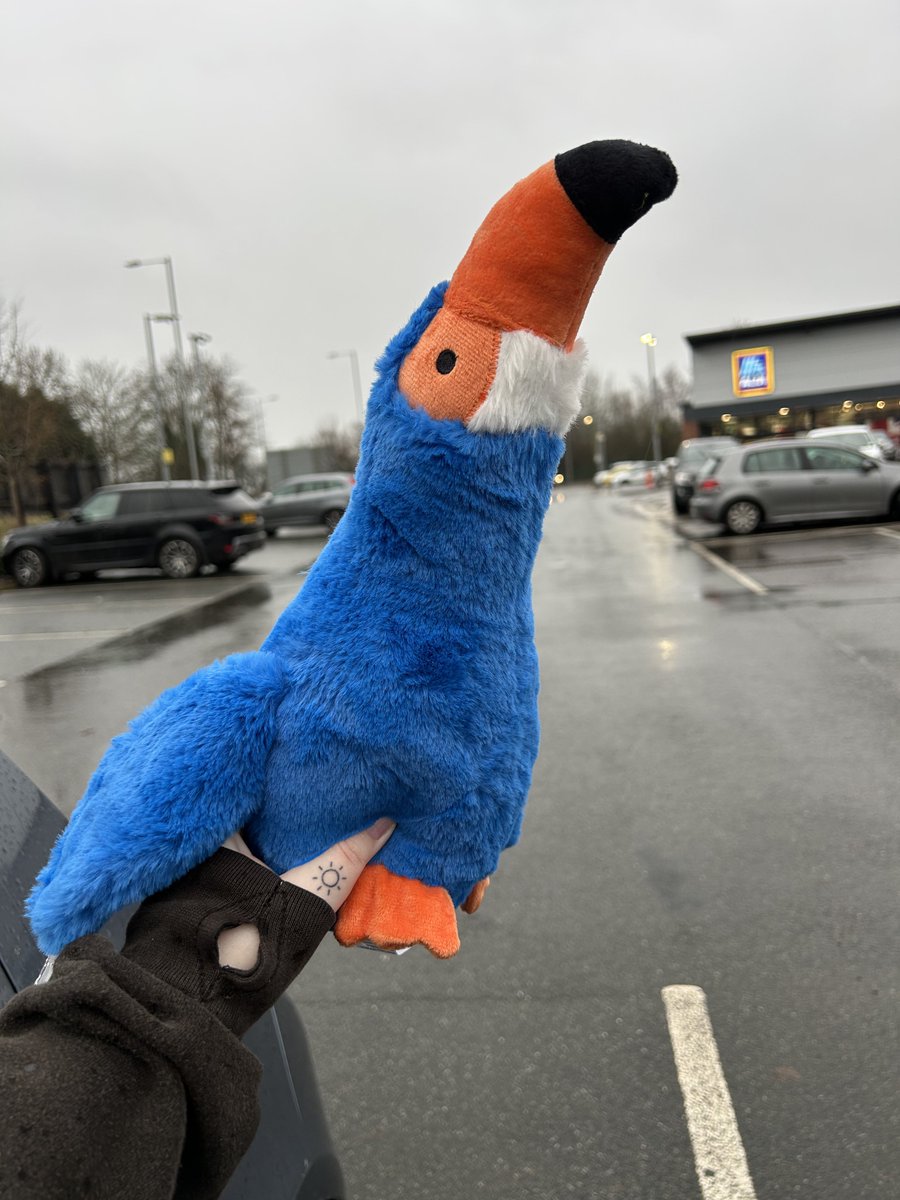 ash 🪿 tweet media