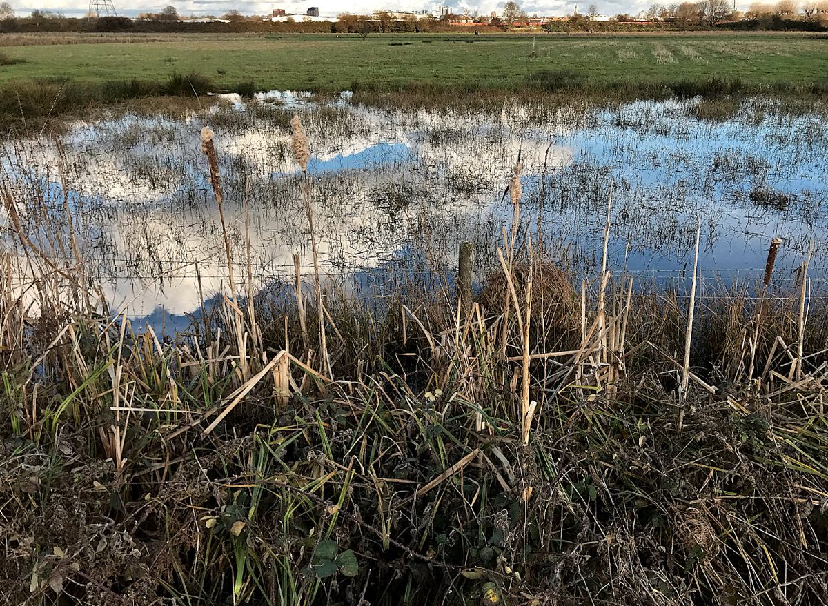 The witch is a threshold creature. Wood's tangled border, shore's salt-line blur. For at the feral edges of the land her magic is mighty. The fluid boundary of the marsh offers reflected nephomantic glimpses, a rush of whispered wisdom. – #EmilyCBanting, 1982 #Witchcraft