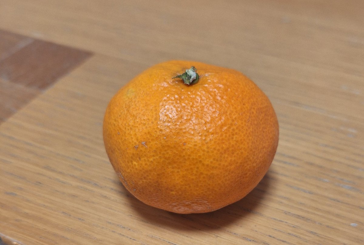 娘よ、みかん1個だけ？？ww ちなみにこれ実家の庭で採れたみかん🍊