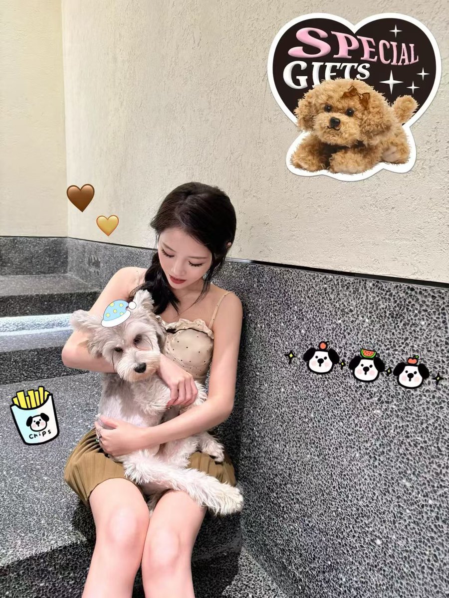 #小狗 爬过来妈妈这里 🦶🏻