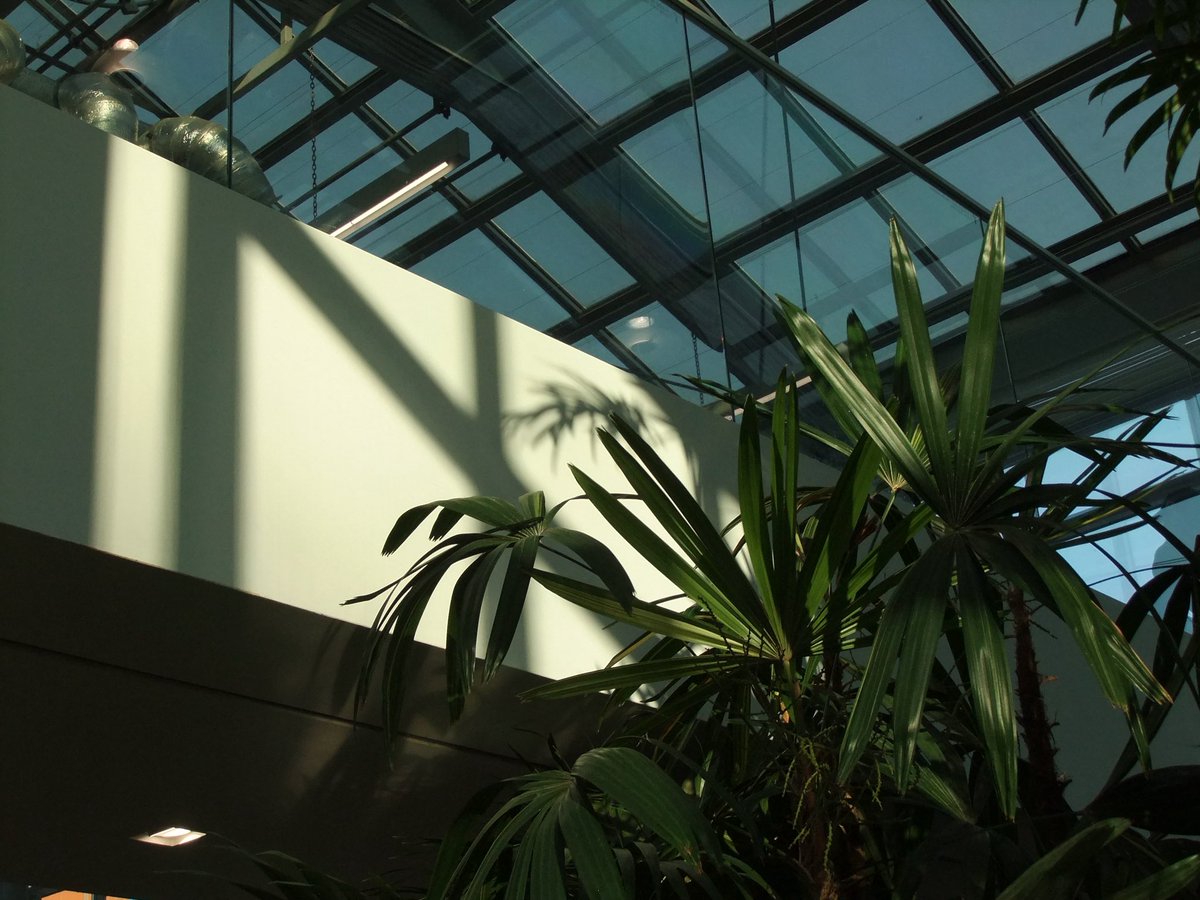 디카화면 vs 실제사진
이 갭이 너무나 느좋