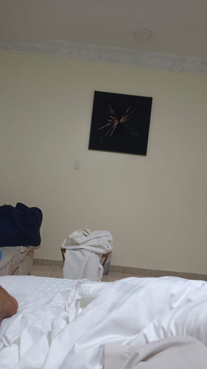 تعال يوم الأحد في سكاكا نجران حضن
اقابل الان ابي جاده في سهره مساج دلع سالب جده 
الرياض تبوك المدينه حايل الدمام الخبر موجب جازان الطايف❤️‍🔥الباحه💕 شروره🙈 مكه
wa.me/966540584462
wa.me/966574208948