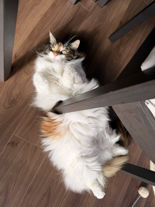 ナランチャーーッ