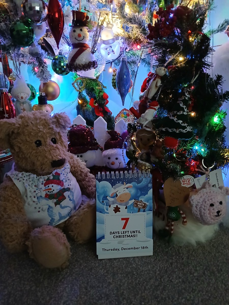 pissedbear's tweet photo. Happy Thursday a week to go #CountdownWithEd π§ΈπβοΈπ
https://t.co/Zui5ufFy8W